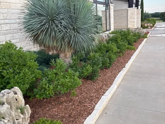 Landscaping Pic 1 6 25 26